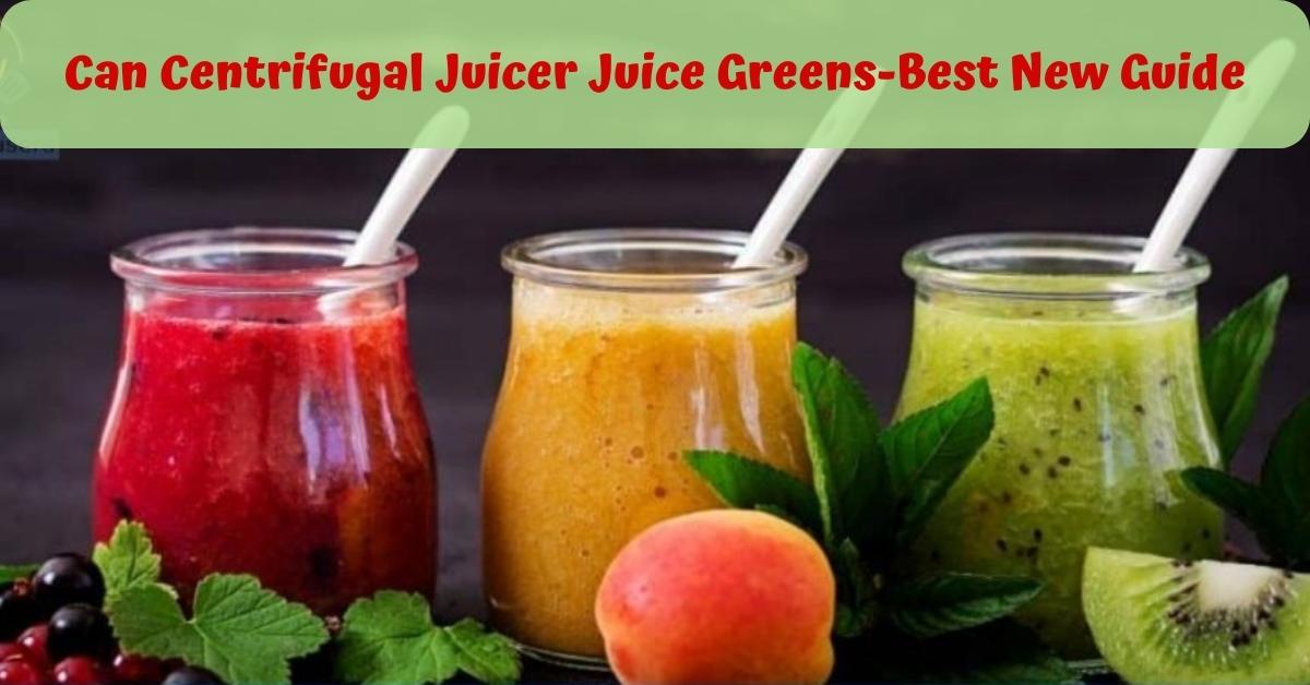 Can Centrifugal Juicer Juice Greens-Best New Guide