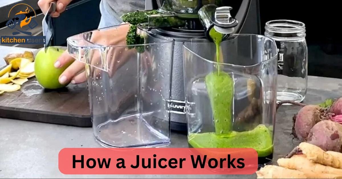 Juicer vs Food Processor Best Guide