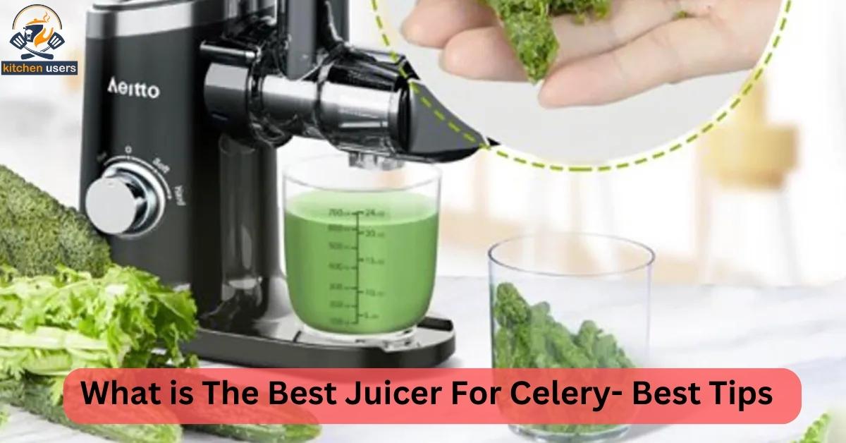 What is The Best Juicer For Celery
