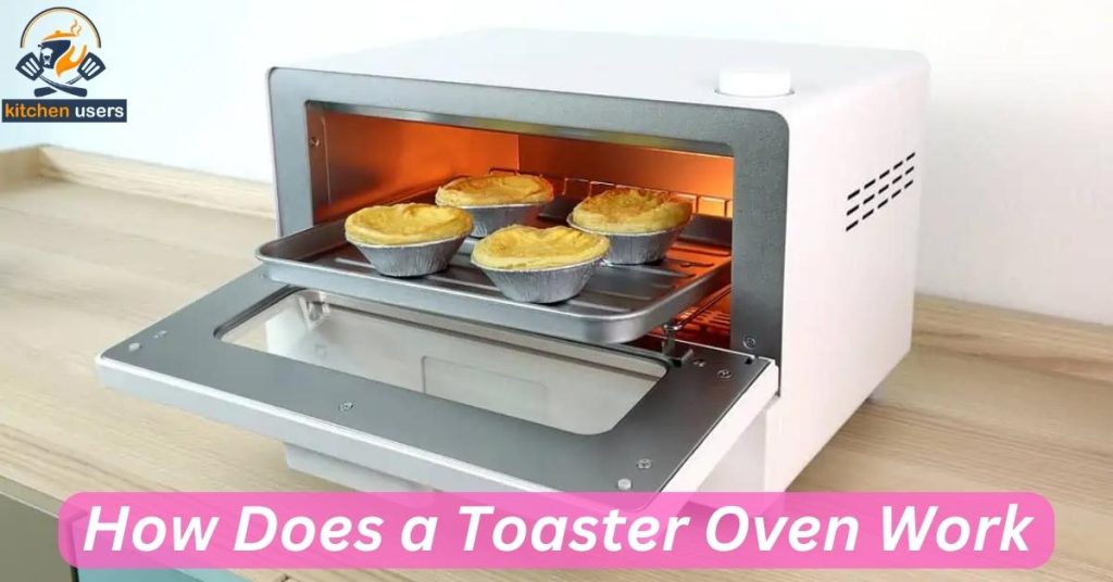 Explaining on: How Does a Toaster Oven Work