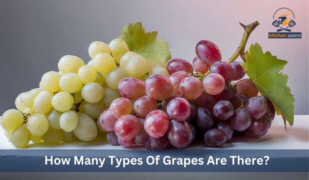 Describe on: How Many Types Of Grapes Are There