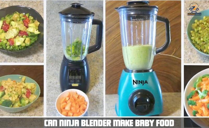 Can Ninja Blender Make Baby Food