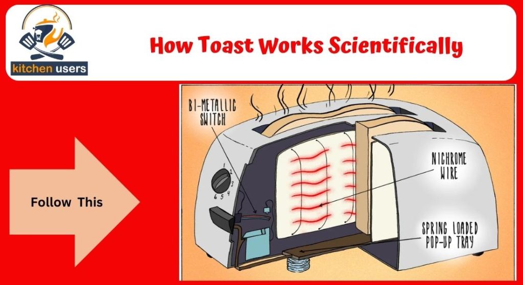 How Toast Works Scientifically - A Simple Process