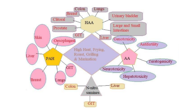 Review Of Cooking Methods That Produce Carcinogens