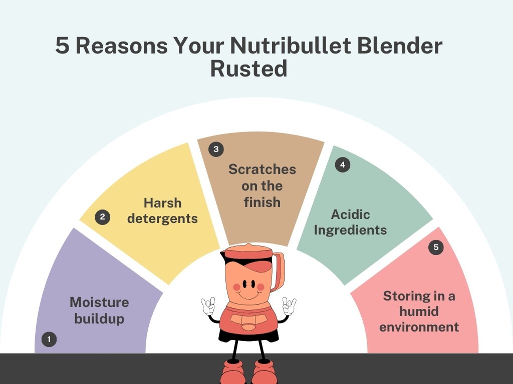 5 Reasons Your Nutribullet Blender Rusted