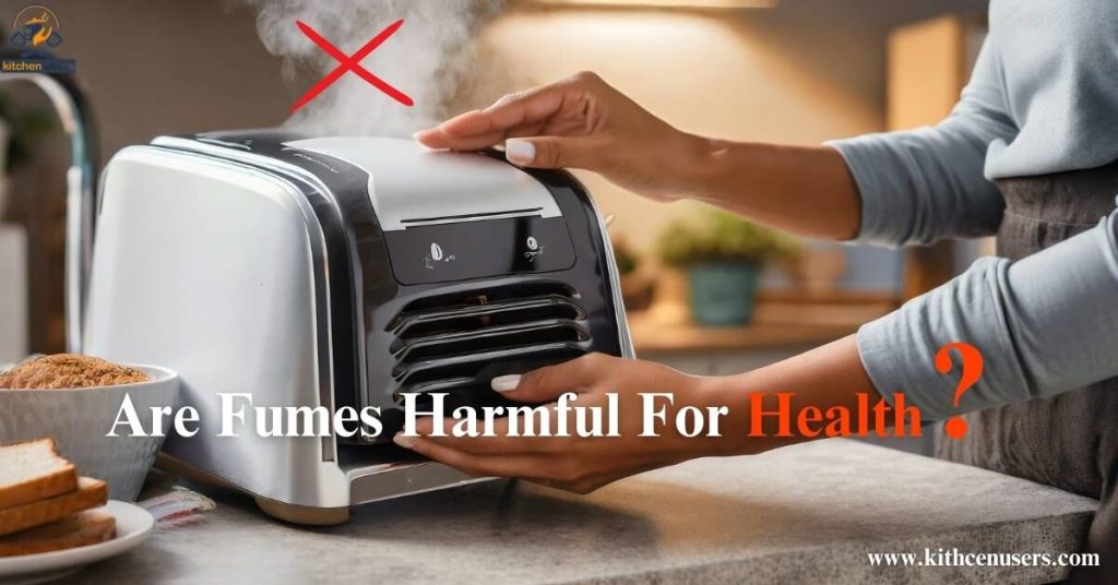 Are Toaster Oven Fumes Harmful? 